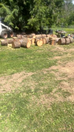 Firewood