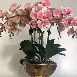 Orchids floral arrangements