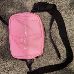 Alexander Wang Wangsport Camera Bag