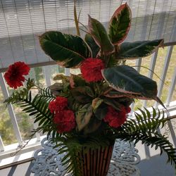 Decorative Plant Arrangement 