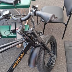 Electric bike