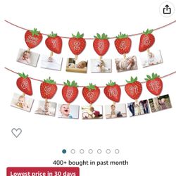 Berry First Birthday Monthly Banner