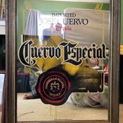 Vintage Jose Cuervo Cuervo Especial Tequila Bar Mirror Framed Man Cave Decor