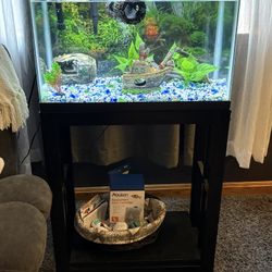 Fish Tank With Accessories 