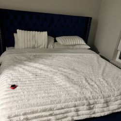 Everly Quinn Joclynn Upholstered Wingback King Bed – Navy Velvet