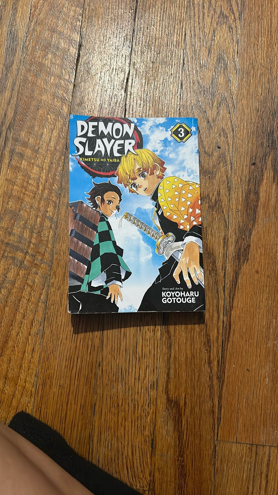 Demon Slayer Manga Vol 3