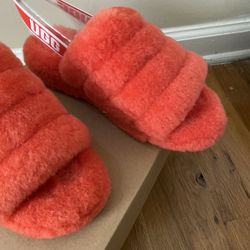 Ugg Slippers