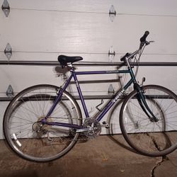 Bicycle,  Trek Multitrack 730 ~Large Bike~ Clean in Great Cosmetic Working Condition