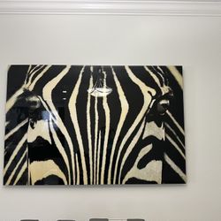 Frame Cebra Face