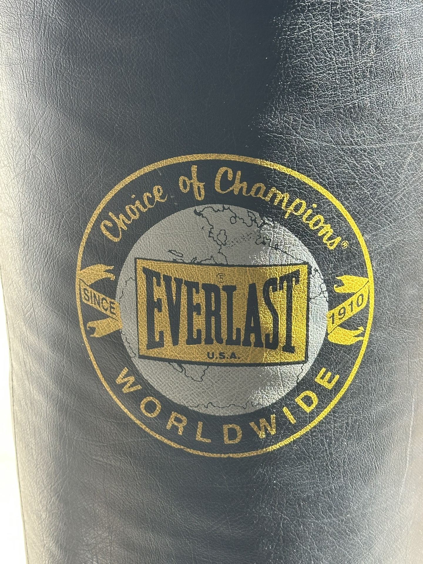Everlast Punching Bag