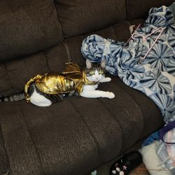 Dragon Costume For Cat Or Dog