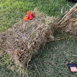 2 Bales Of Hay Used For Decorations 