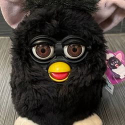 Rare Edition ! Hazel Eyes Vintage 1998 Witches Cat Black With Tag Working Tiger