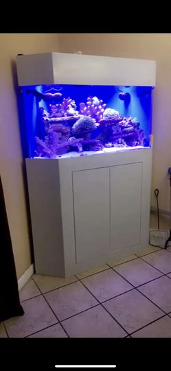 100gal Corner Fish Tank With Canopy And Stand