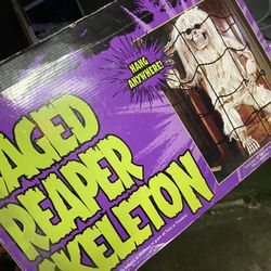 Skeleton