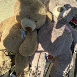 Big Teddy Bears 