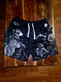 Darc Sport/Bane & Scarecrow Collab Men's Heavyweight Mesh Shorts. Size Large.