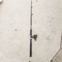 Fishing Pole With Reel 