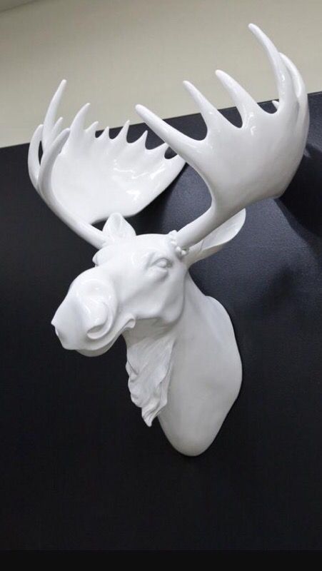 Z gallerie Moose head
