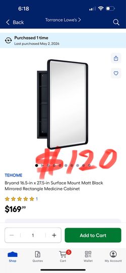 TEHOME    Bryand 16.5-in x 27.5-in Surface Mount Matt Black Mirrored Rectangle Medicine Cabinet