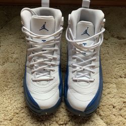 French Blue Jordan 12s