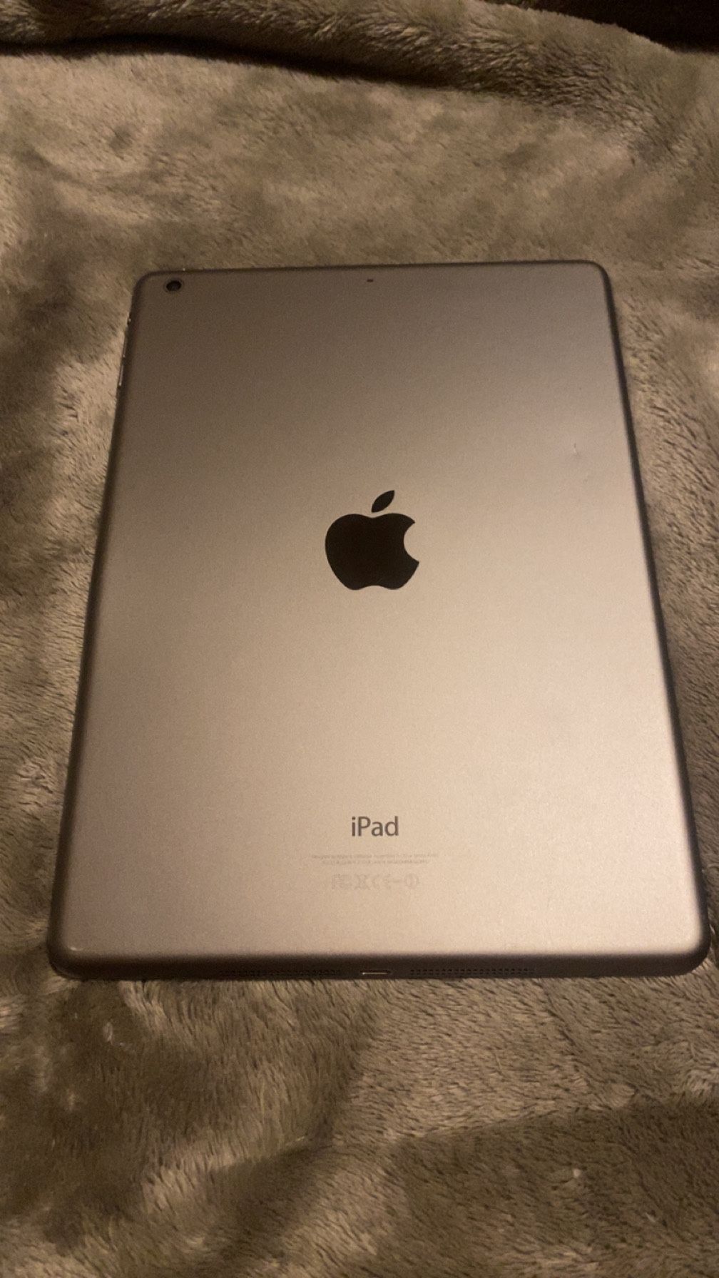 Apple iPad