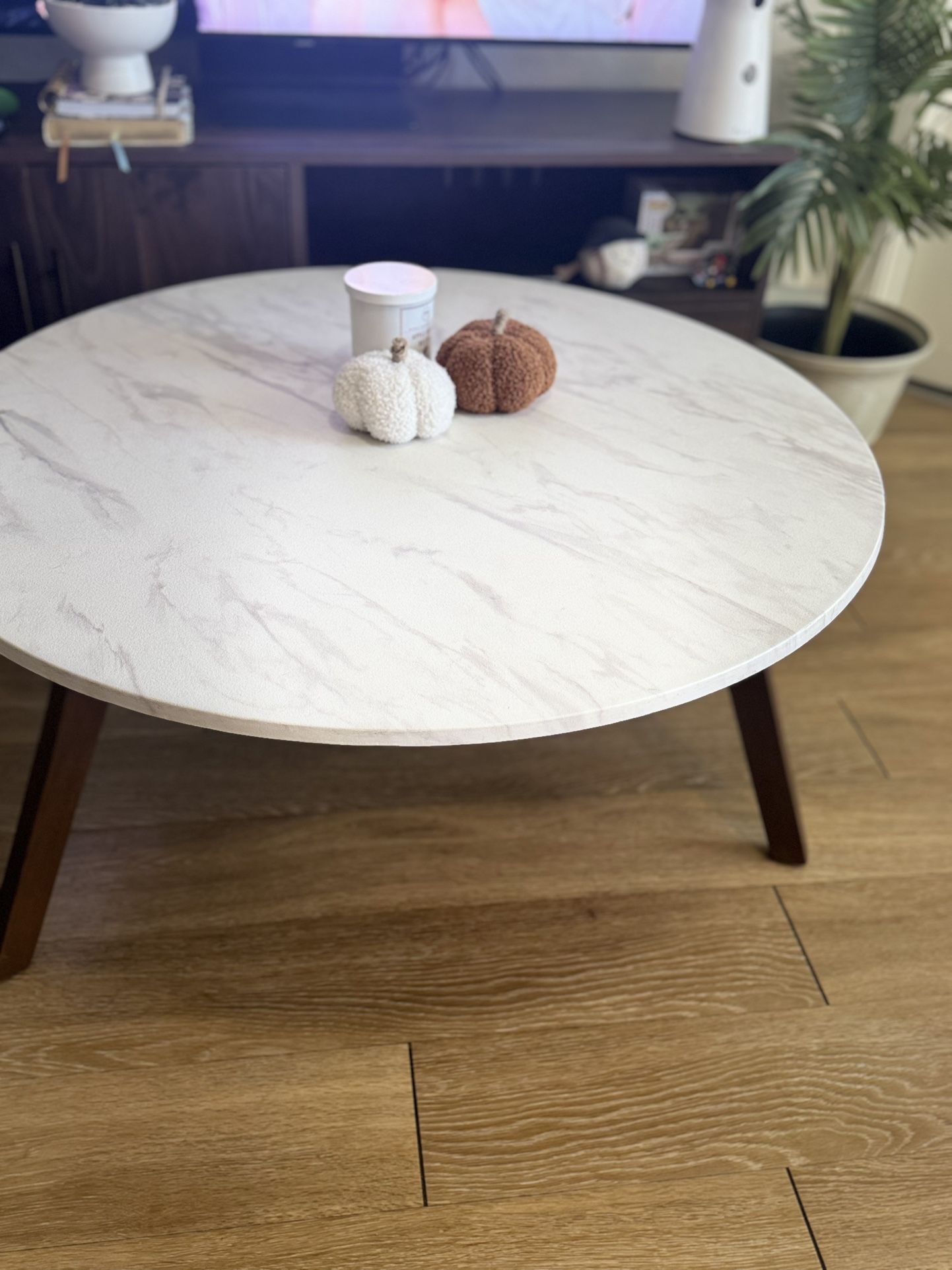 Mid century Modern Coffee Table