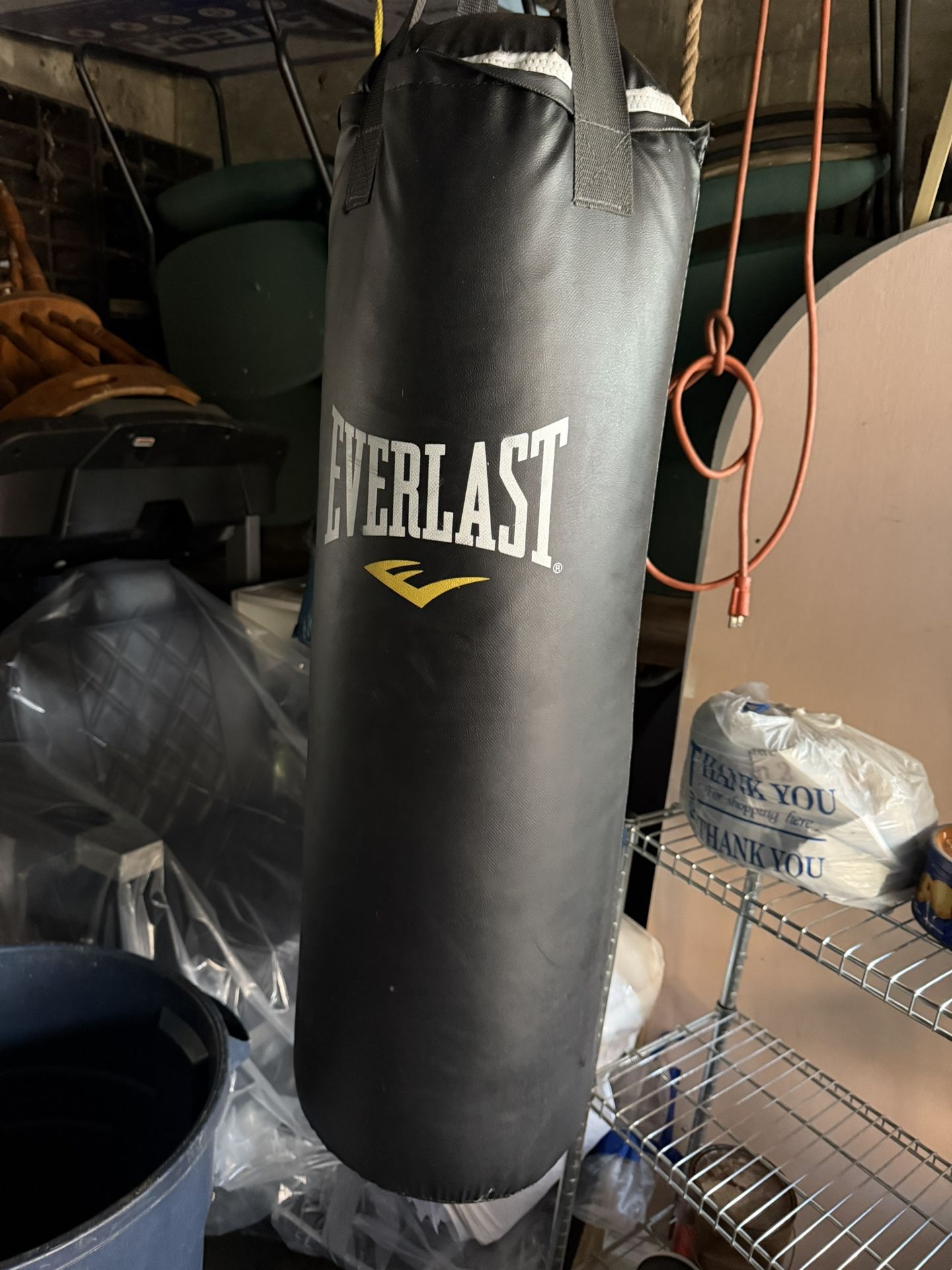 Everlast Punching Bag 
