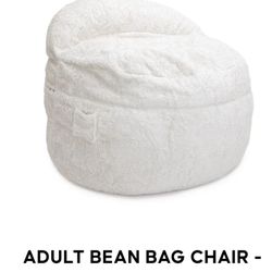 Adult Bean Bag Chair By CordaROY