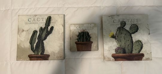 Cactus pictures