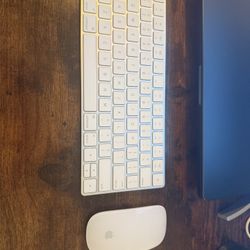 Apple Keyboard and Magic Mouse 