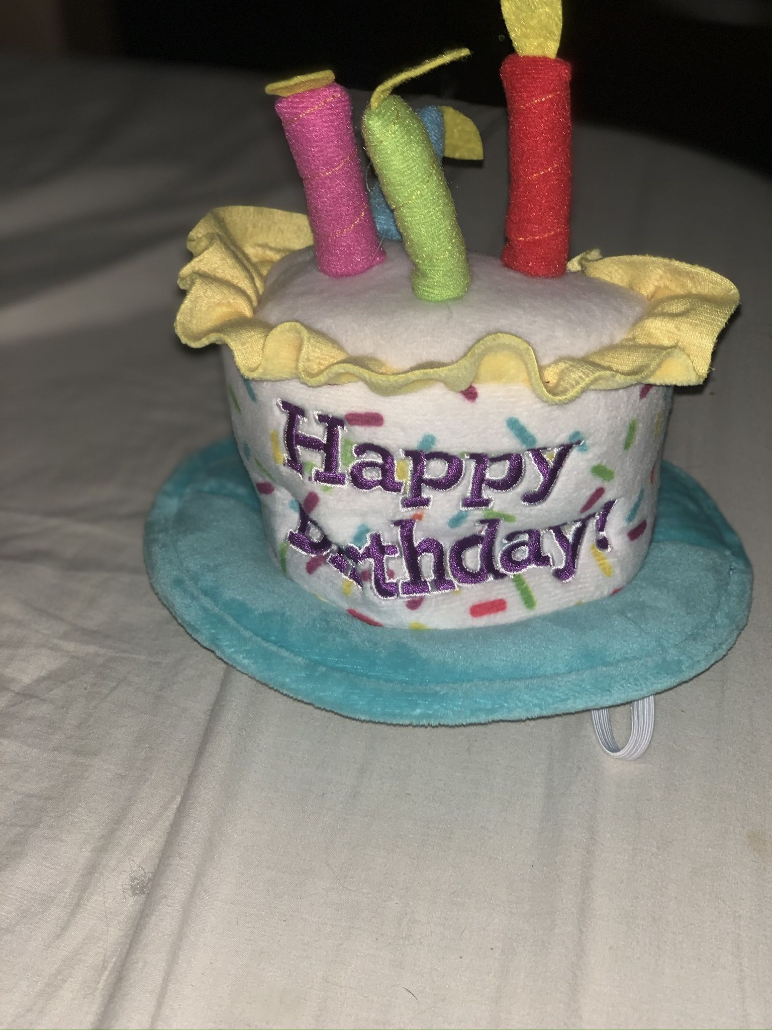 Happy Birthday Animal Hat
