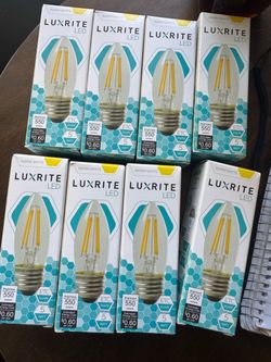 60-Watt Equivalent B10 Dimmable Edison LED Light Bulbs Torpedo Tip Clear Glass 5000K Wram White (8-Pack)