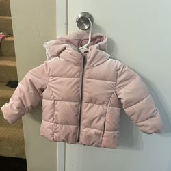 Gap Toddler Thick Jacket