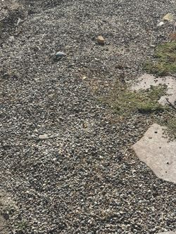 Free Rocks