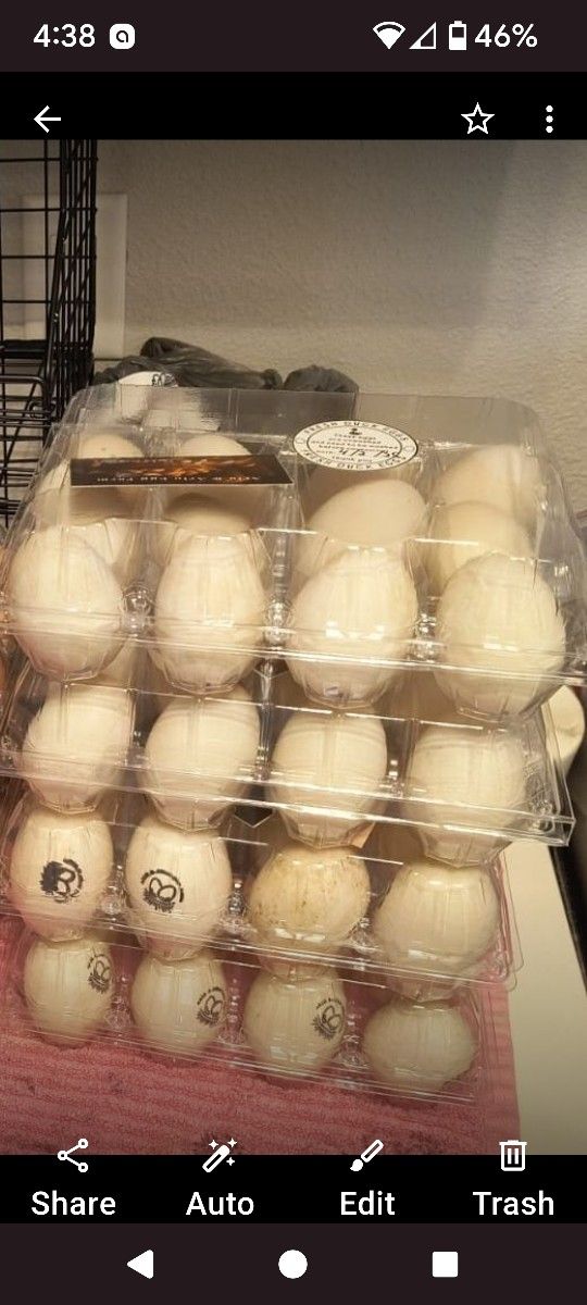 Fresh Ducks Eggs