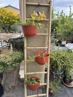 🌵 3-Tier Bamboo Garden Ladder w/ Live Succulents + Decor - $55 OBO - Sunrise Manor