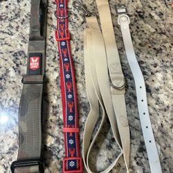 Dog Collars 