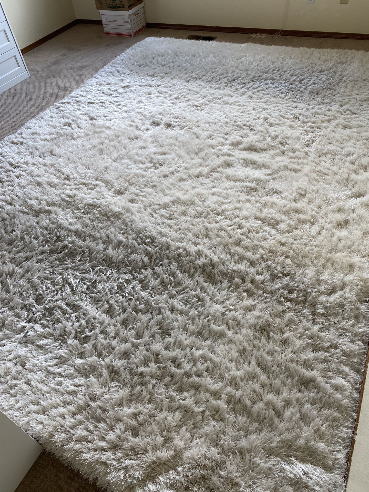 Safavids Shag Hand-Woven Pearl Area Rug