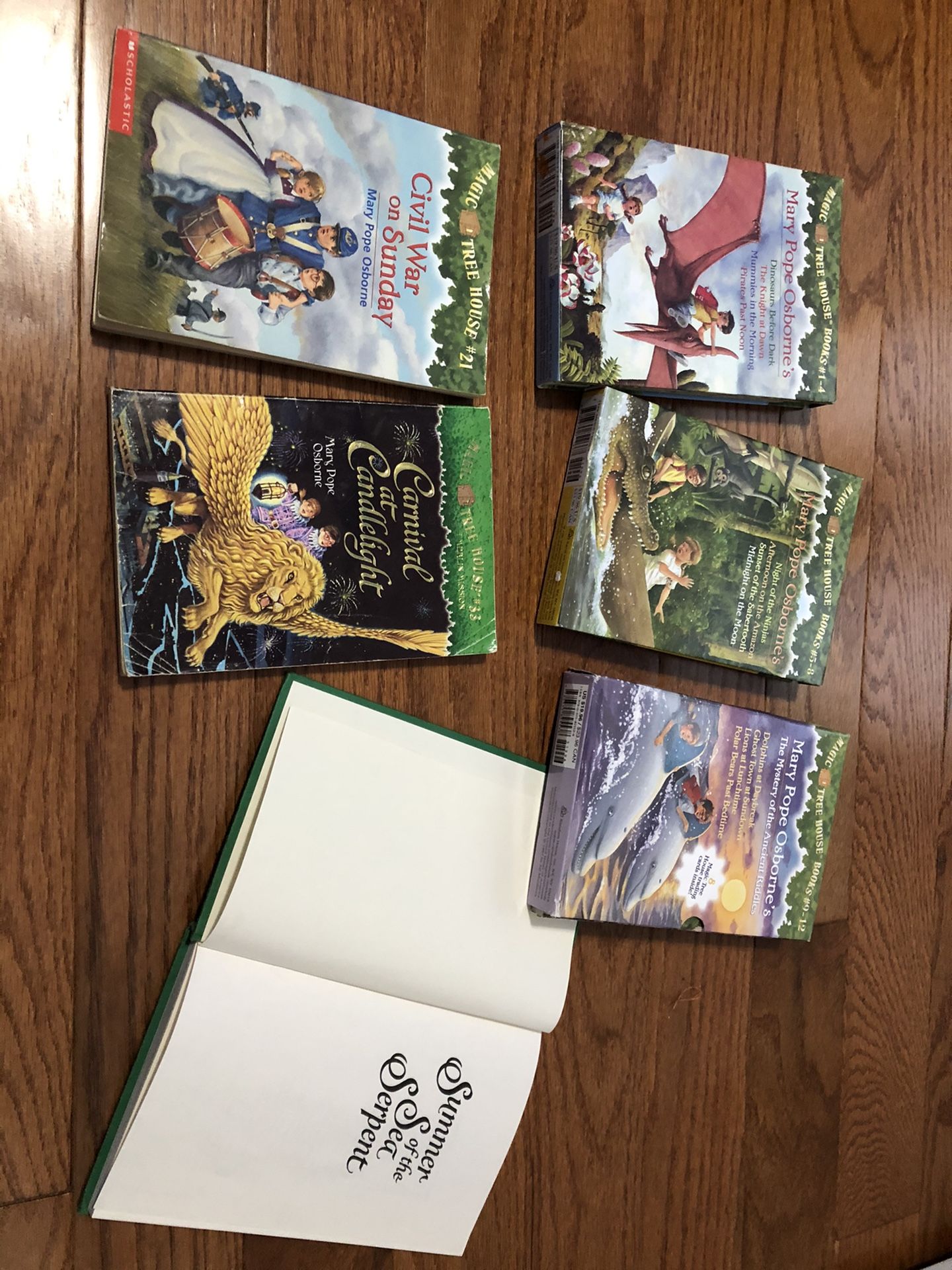 Magic Tree House - 15 books