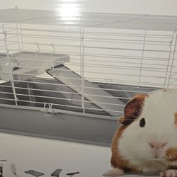 Guinea Pig Cage