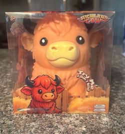 Highland cow