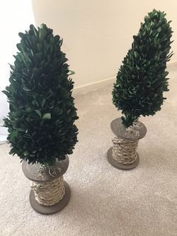 Smith & Hawken Natural Boxwood Leaves Topiary (set of 2)
