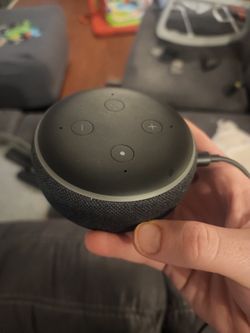 Echo Dot 