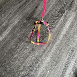 Pink multi color dog harness & leash