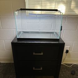 10 gal Fish Tank With Stand