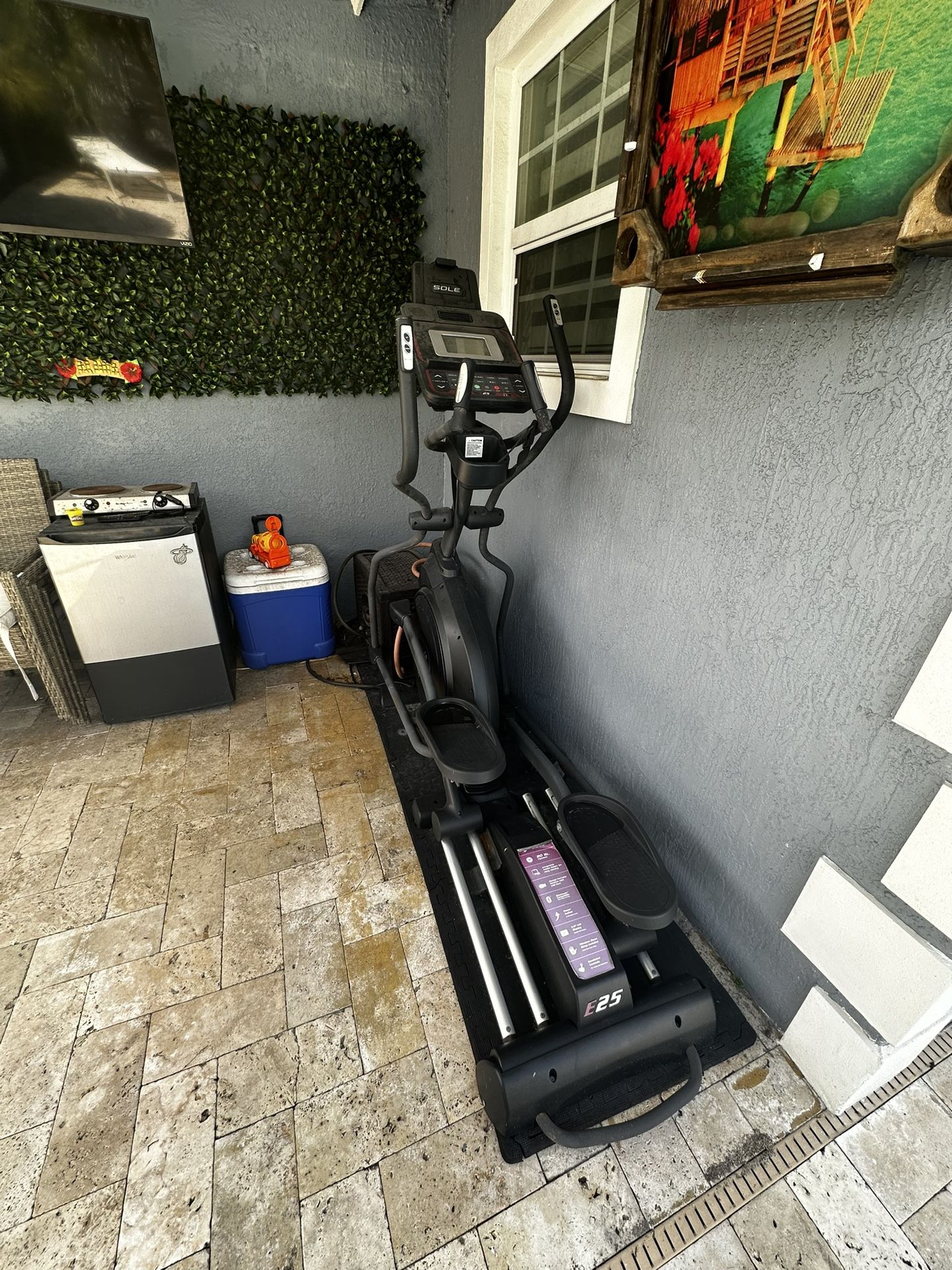 ELLIPTICAL SOLE E25