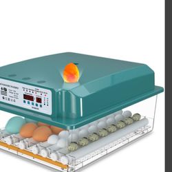 I have these egg incubators, they are new, only one is used, I think it is the white one, the others are new, each one costs $60 O.B.O, only the large