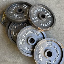 Barbells 25lb x 6 Total 