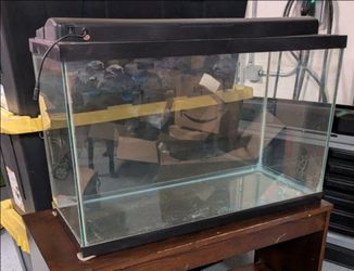 Glass aquarium with light